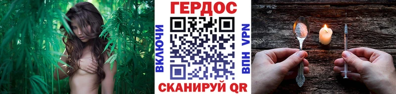 ГЕРОИН хмурый  что такое   Нарьян-Мар 